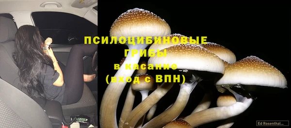 каннабис Алзамай