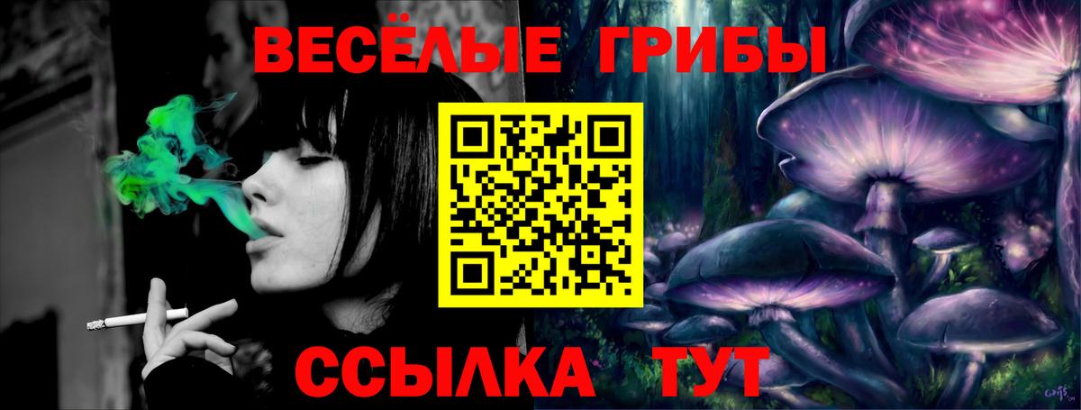 Омск  Псилоцибиновые грибы Cubensis  Вход с VPN 